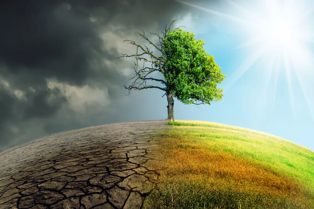 eradication of hunger and climate change