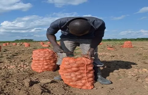 agriculture innovation in africa is needed