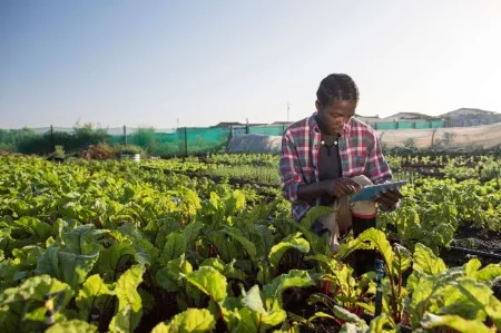 Agricultural Technology pic