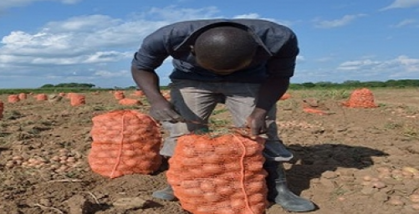 agriculture innovation in africa is needed